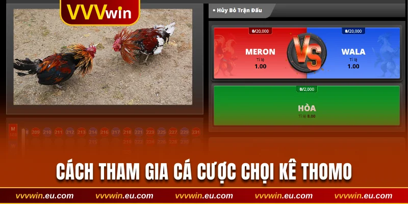 Cách tham gia cá cược chọi kê Thomo